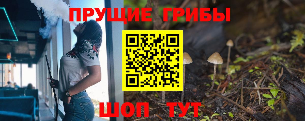 Галлюциногенные грибы Psilocybine cubensis  Вход с VPN  Заволжье  Псилоцибиновые грибы ЛСД 